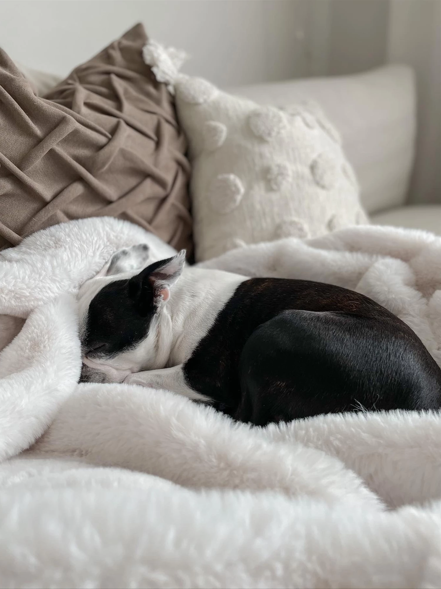 Blanket White CHAAB Various Sizes - Image 5